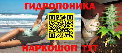 дживик Ставрополь