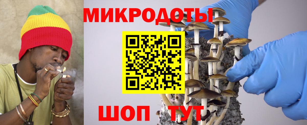 Артём  наркотики  Псилоцибиновые грибы GOLDEN TEACHER  Вход с VPN  Псилоцибиновые грибы GOLDEN TEACHER 